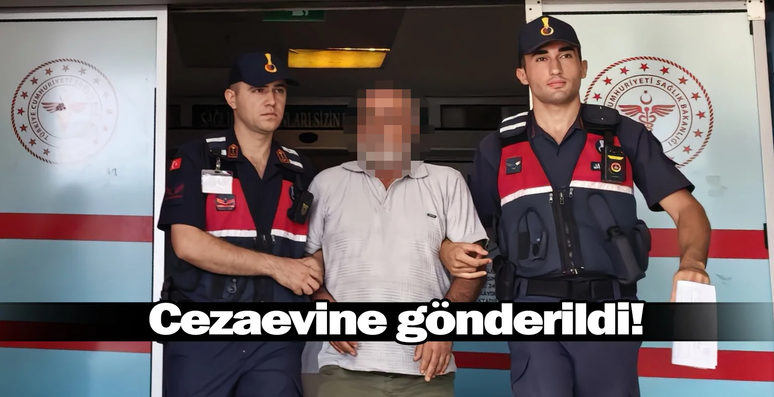 Cezaevine gönderildi!
