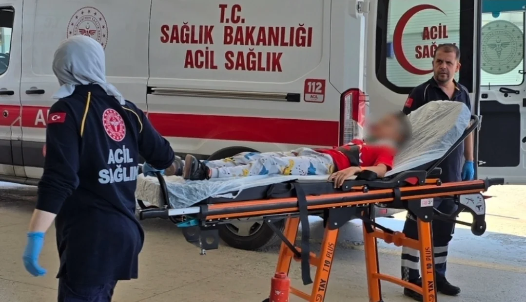 Köpekten Kaçarken Park Halindeki Araca Çarptı