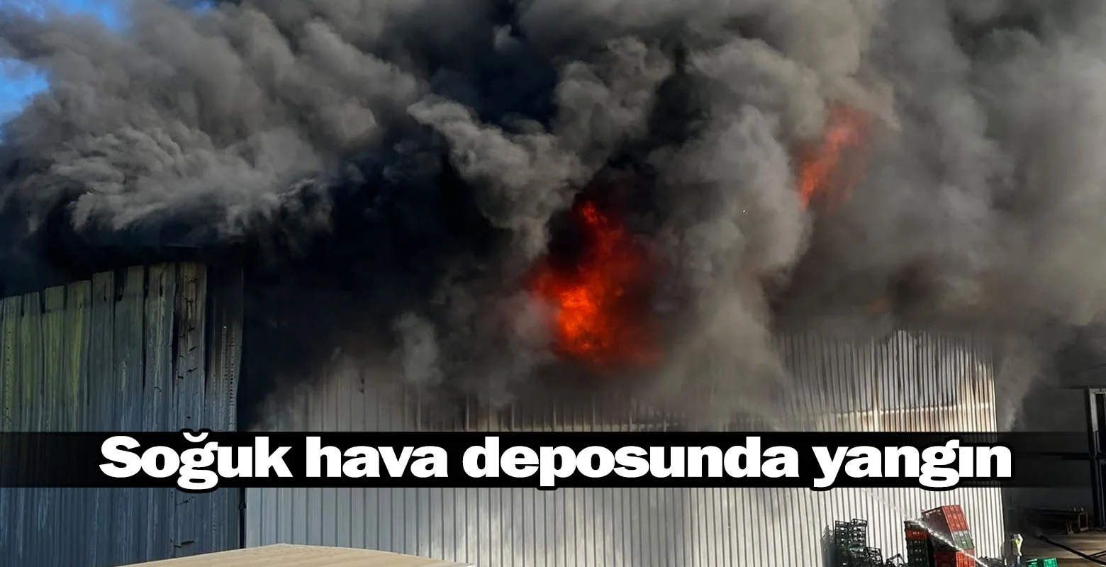 Bursa'da soğuk hava deposunda yangın