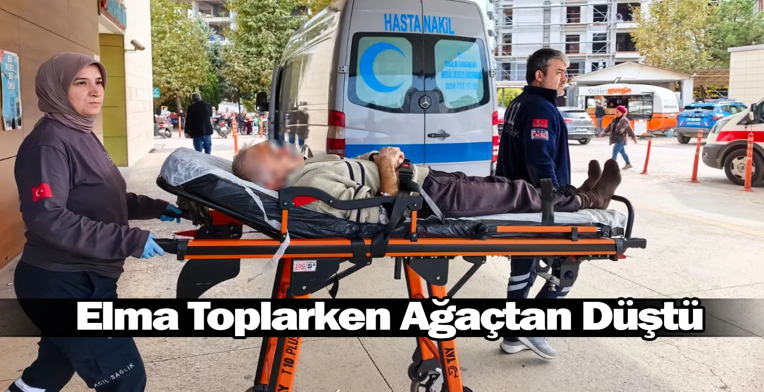 Elma Toplarken Ağaçtan Düştü