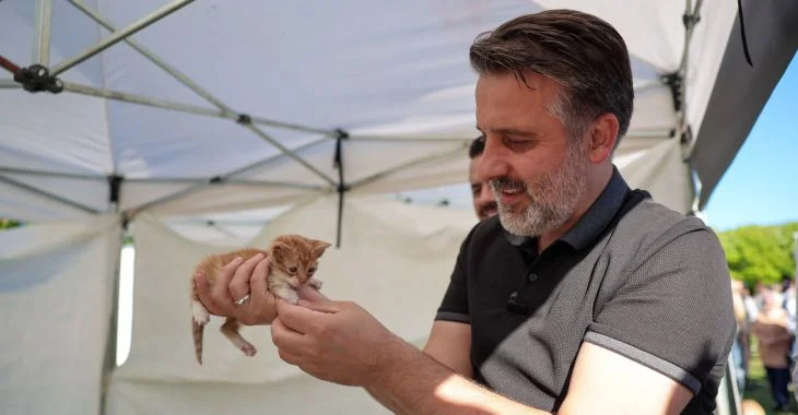 Büyükşehir'den can dostları için yuva seferberliği