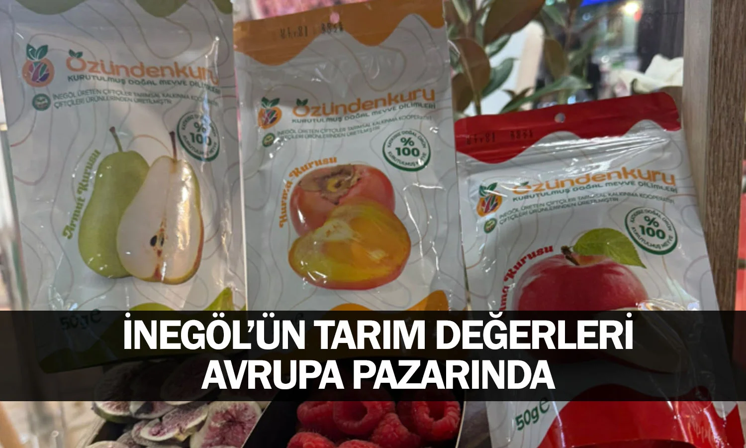 İnegöl’ün Tarım Değerleri Avrupa Pazarında