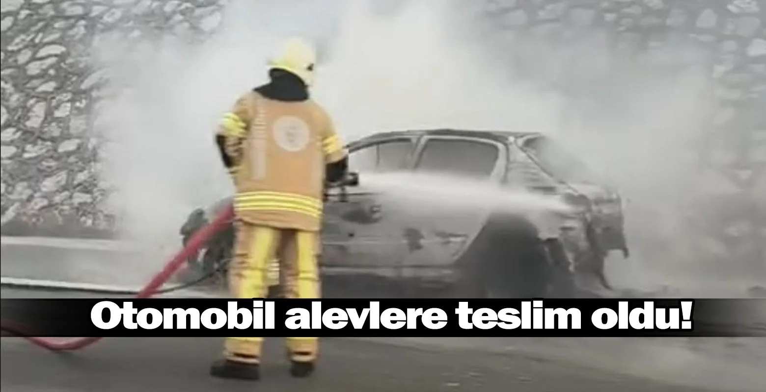 Otomobil alevlere teslim oldu