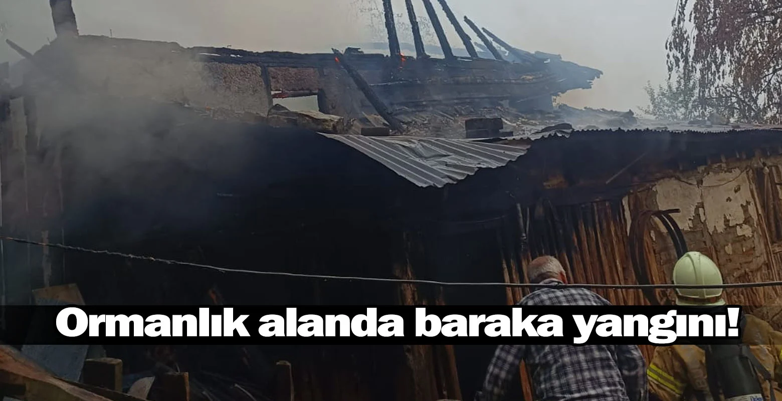 Ormanlık alanda baraka yangını!