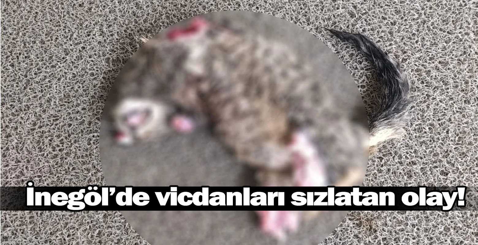 İnegöl'de vicdanları sızlatan olay!